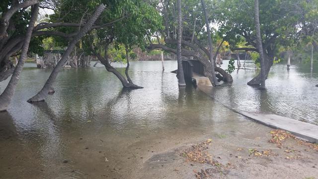 Water spilling over from Makaiwa Bay into Kalahuipua'a Fishponds during an above normal high tide on July 3, 2016